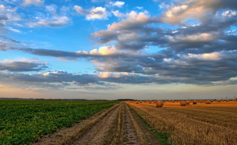 Agricoltura Biologica Italiana: conquista il 19% dei terreni coltivabili